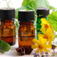 Illustration for article titled The Use of Pure Essential Oils in India has Increased Tremendously! Here’s why People prefer it!em/em